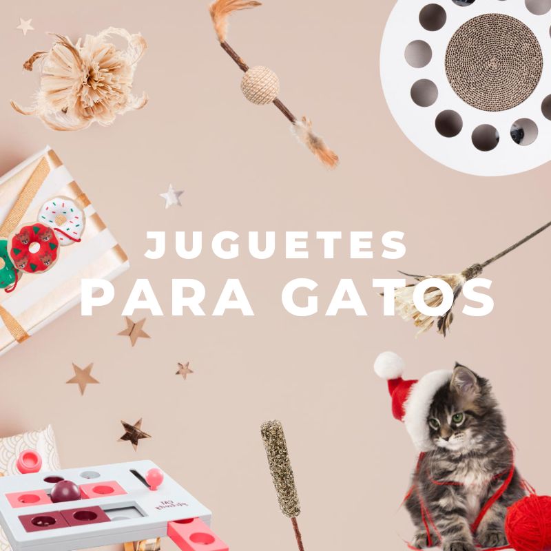 seleccion pampermut de snacks naturales